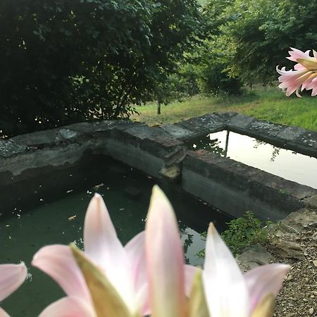 Relax Nella Natura 볼라노 외부 사진