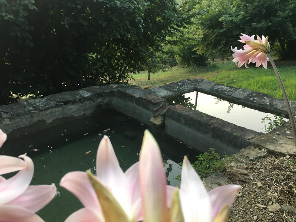 Relax Nella Natura 볼라노 외부 사진